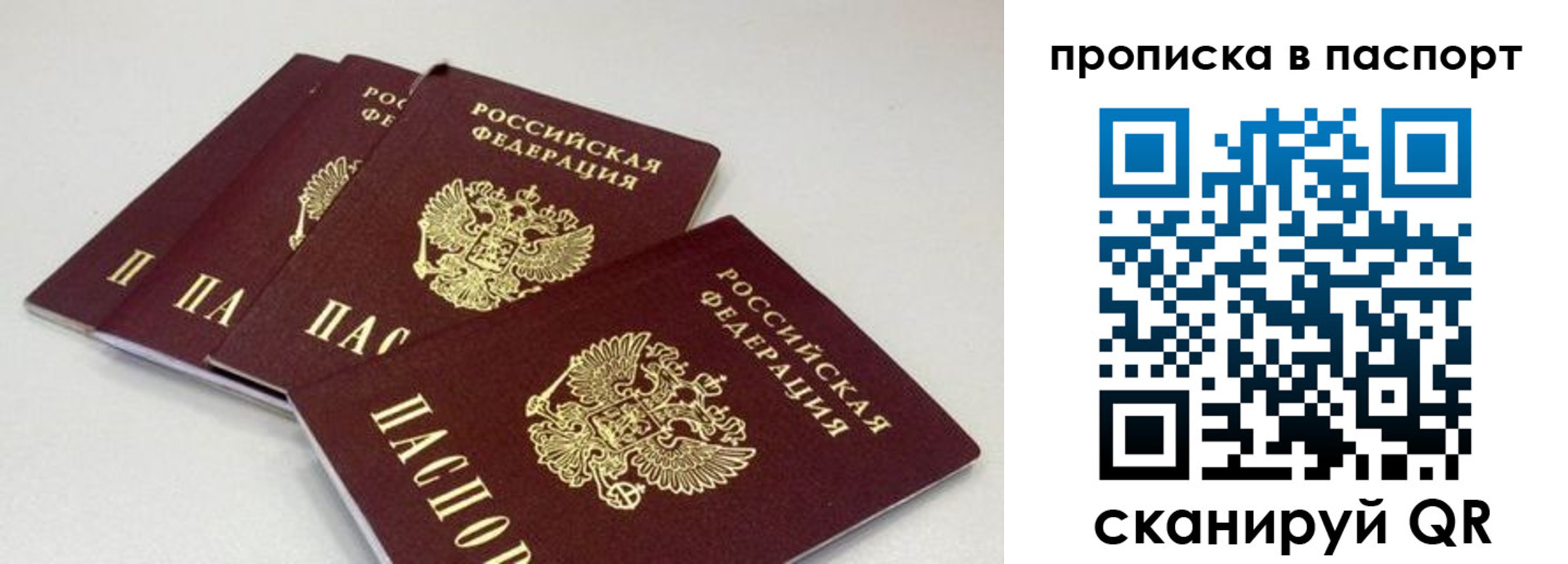 найти адрес прописки в Новом Осколе